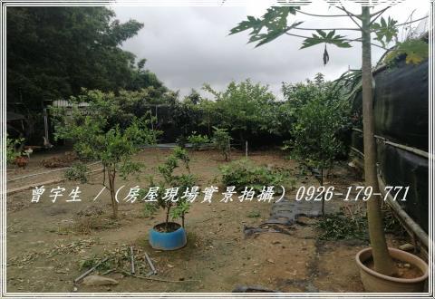 桃園農舍-10
