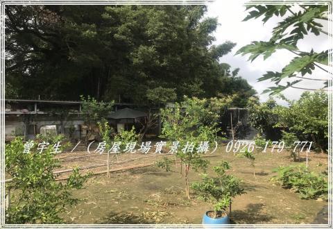 桃園農舍-14