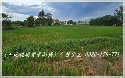桃園觀音農地-1