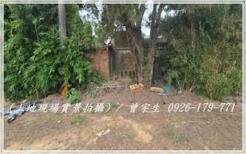 桃園觀音農地-4