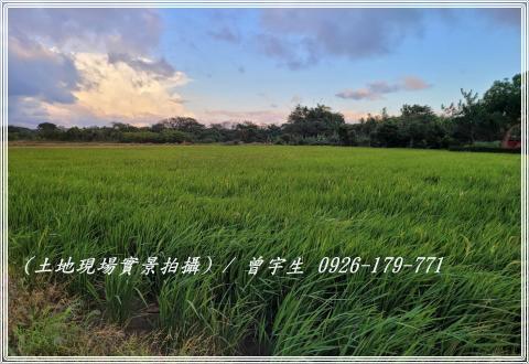 中壢農地-1